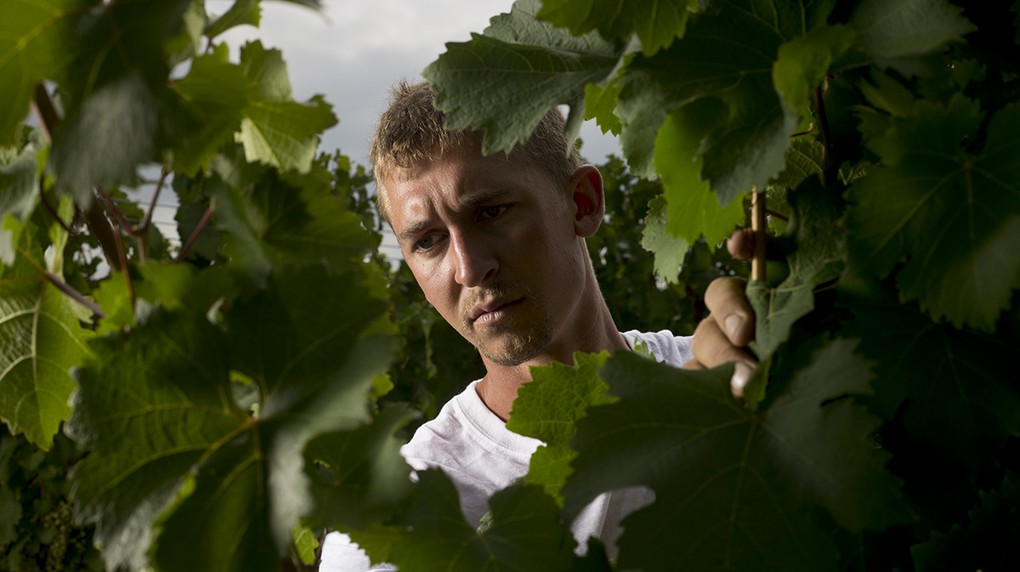 Vineyard Manager Kees Stapel joined the Boundary Breaks team in 2010.