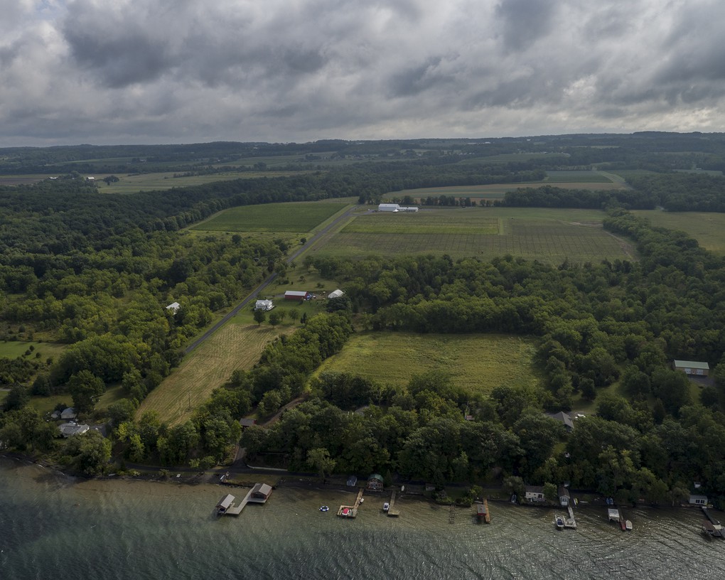 Our vineyards are planted close to the shore of Seneca Lake.