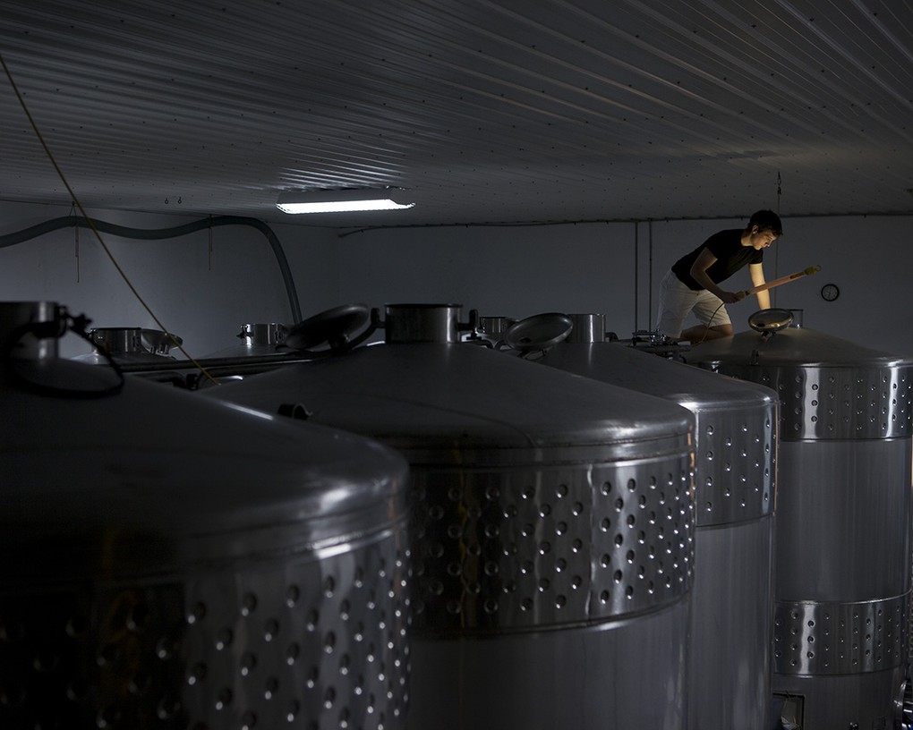 We ferment our Rieslings in stainless steel.