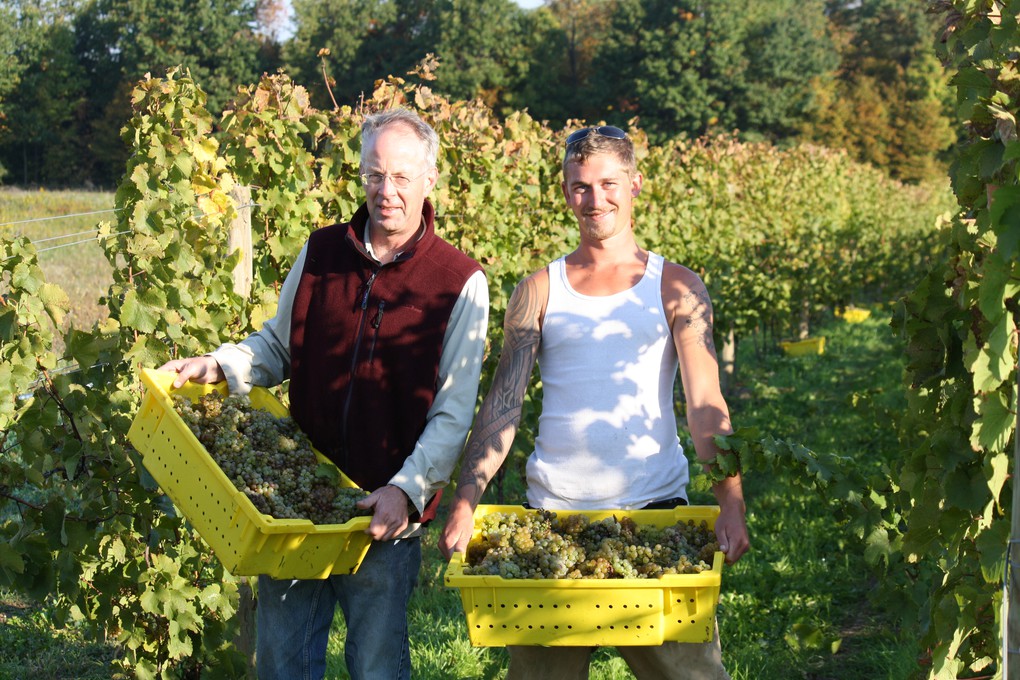 Bruce Murray and Vineyard Manager Kees Stapel in 2011 with first harvest.