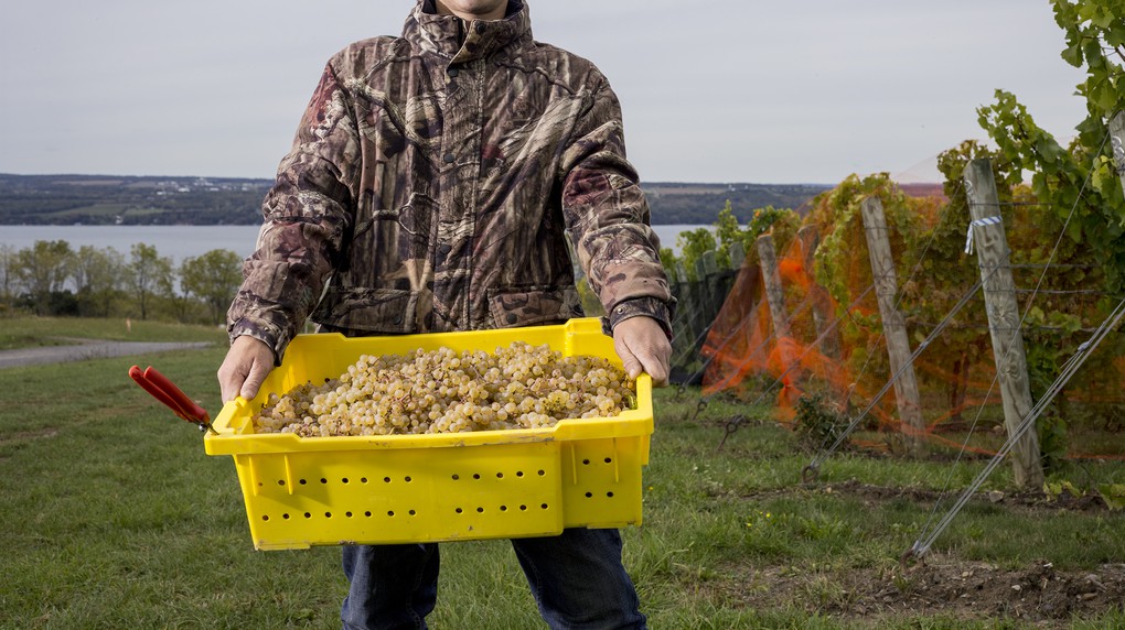 Vineyard Associate John Swick joined the Boundary Breaks team in 2011.