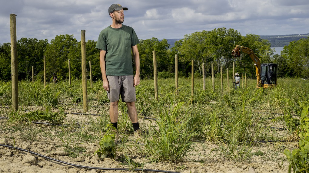 Jesse Kovnat joined the Boundary Breaks Vineyard team in 2017.