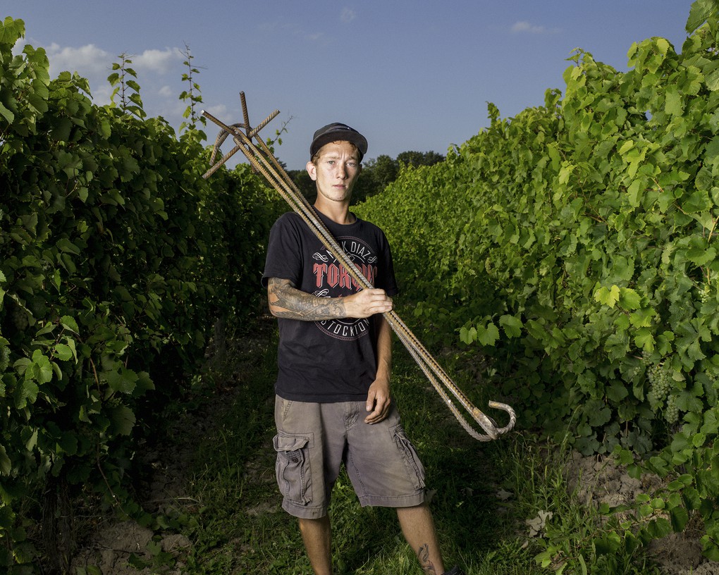  Vineyard Associate, John Swick, 2017.