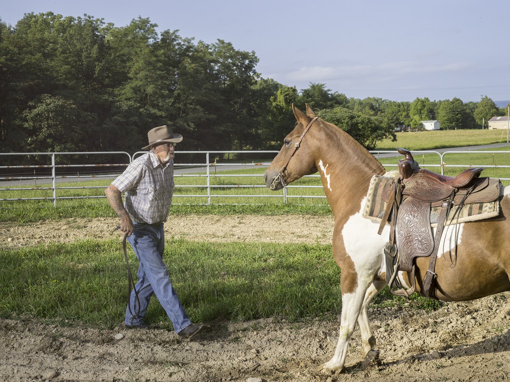 Al facing off against his horse, KJ.