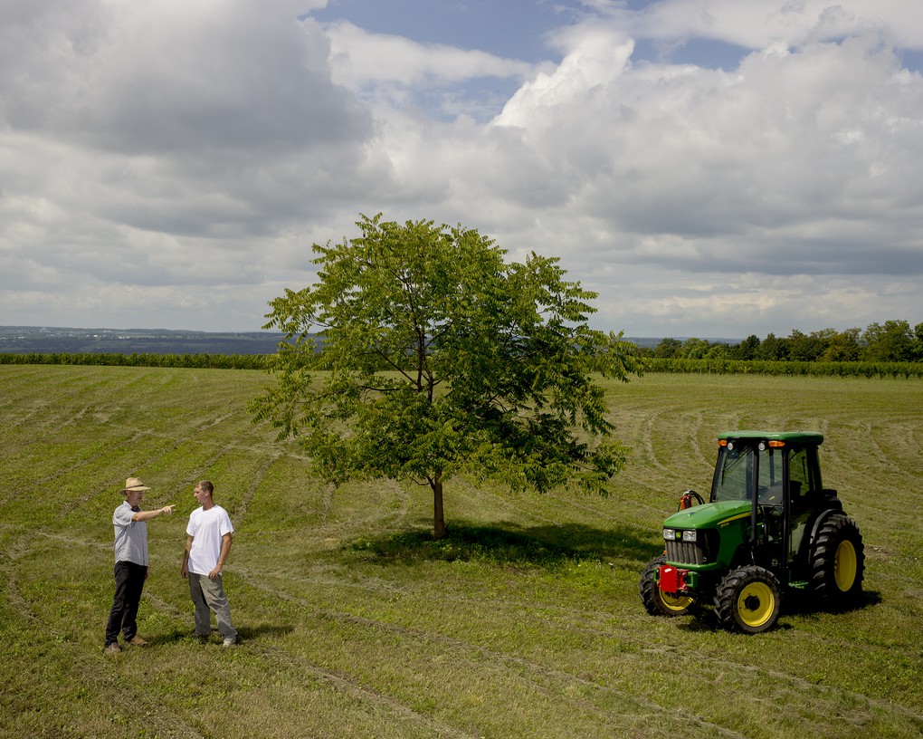 Owner Bruce Murray and Vineyard Manager Kees Stapel discuss plan for future growth.