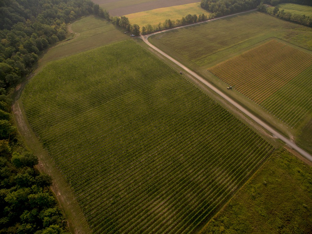 We continued to plant additional Riesling vines in 2010. Then in 2013, we added Gewürztraminer, and smaller amounts of three red varieties, Cabernet Franc, Merlot and Cabernet Sauvignon. The 2012 season was exceptionally warm and dry and showed us that our site might be well-suited for some red varieties. At the time, we still had no Tasting Room or space for visitors to try our wines. We continued to sell to distributors around the United States.