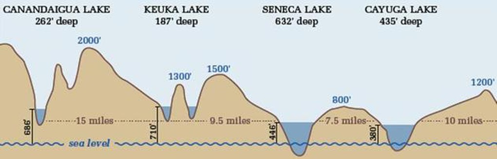 Seneca Lake the deepest of the Finger Lakes. It is also located at nearly the lowest elevation of all the eleven Finger Lakes. Vineyards located at higher elevations always experience colder temperatures, not only during the winter, but also during the growing season. The relative warmth of the vineyard sites on Seneca Lake make it possible to produce riper fruit which, in turn, yields some of the region's finest wines.