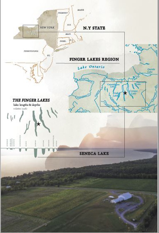 Boundary Breaks is located on the east side of Seneca Lake, about midway between the cities of Geneva to the north and Watkins Glen to the south.